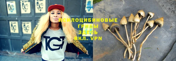 гидра Волоколамск